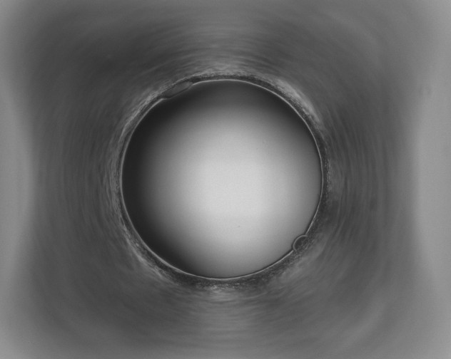 X0000112720481200908271411