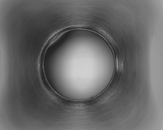 X0000112720483200908271411