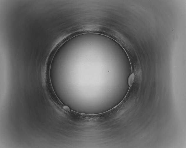 X0000112720484200908271411