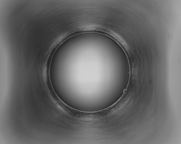 X0000112720485200908271411