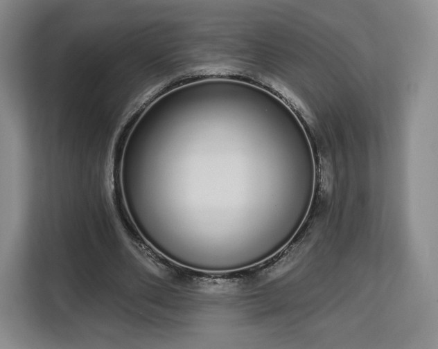 X0000112720486200908271411