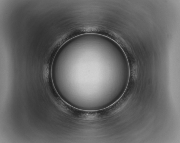 X0000112720495200908271411