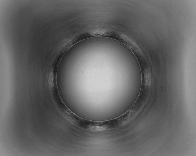 X0000112720498200908271411