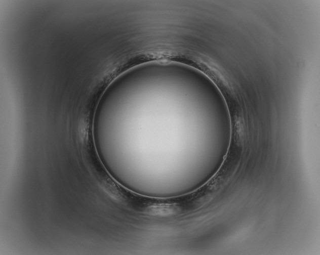 X0000112720499200908271411