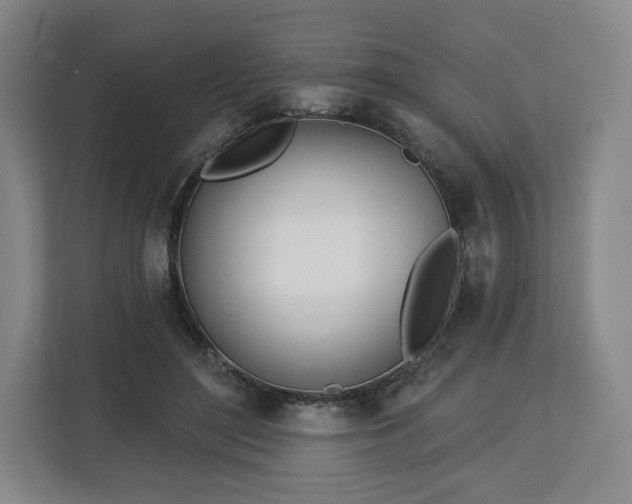 X0000112720500200908271411