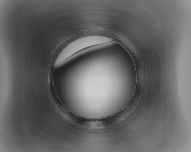 X0000112720501200908271411