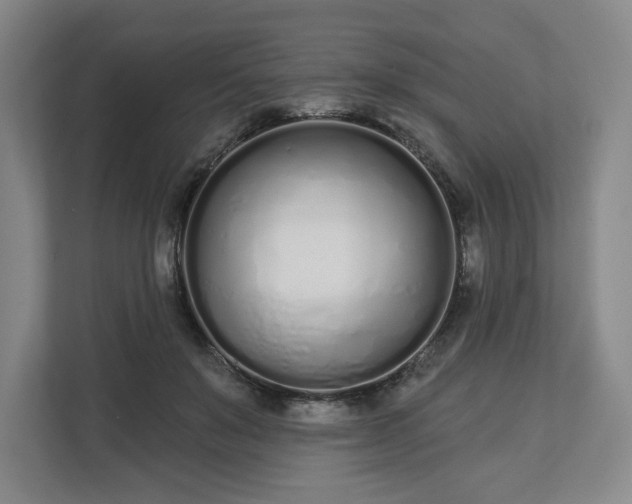 X0000112720503200908271411