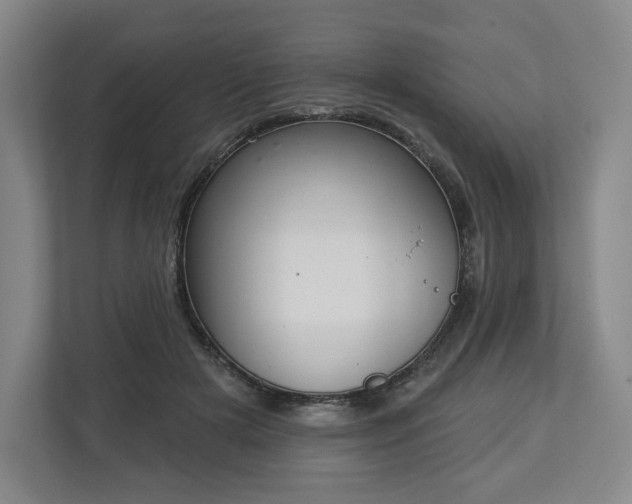 X0000112720505200908271410