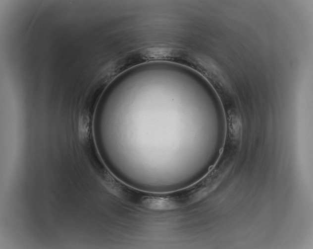 X0000112720507200908271410