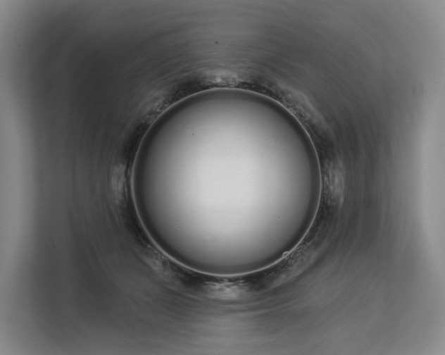 X0000112720511200908271410