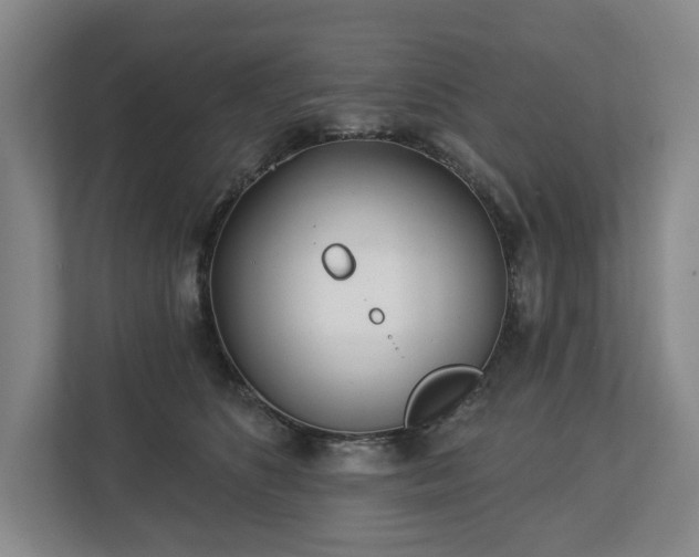 X0000112720516200908271410