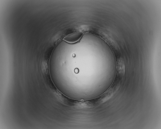 X0000112720523200908271410