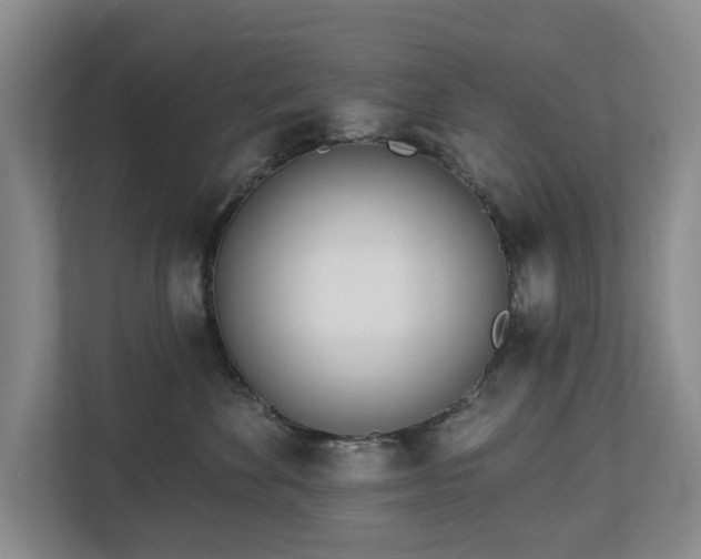 X0000112720524200908271410