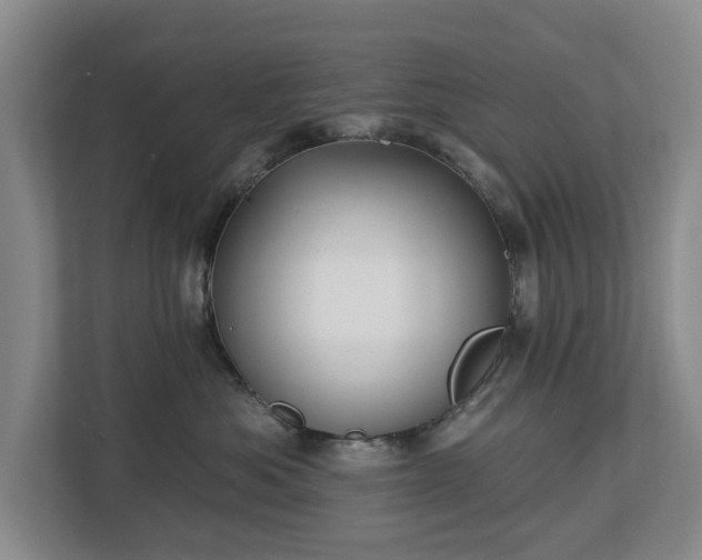 X0000112720525200908271410