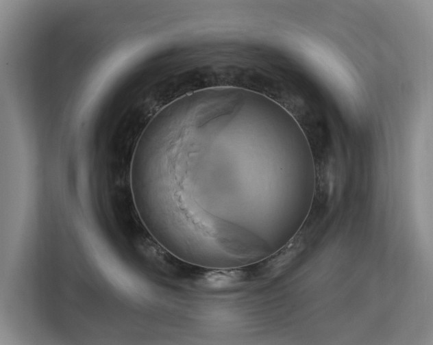 X0000112720526200908271410