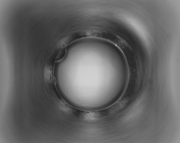 X0000112720527200908271410