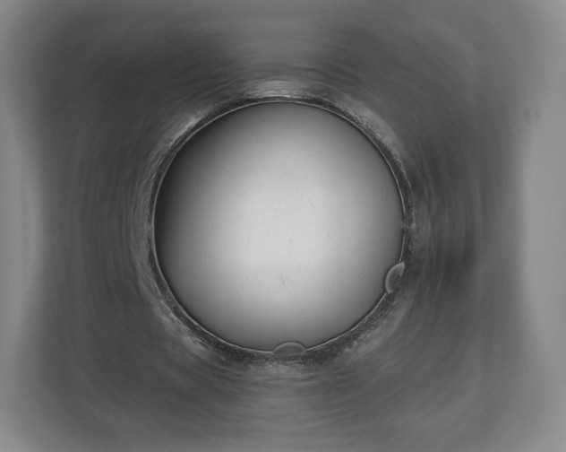 X0000112720529200908271409