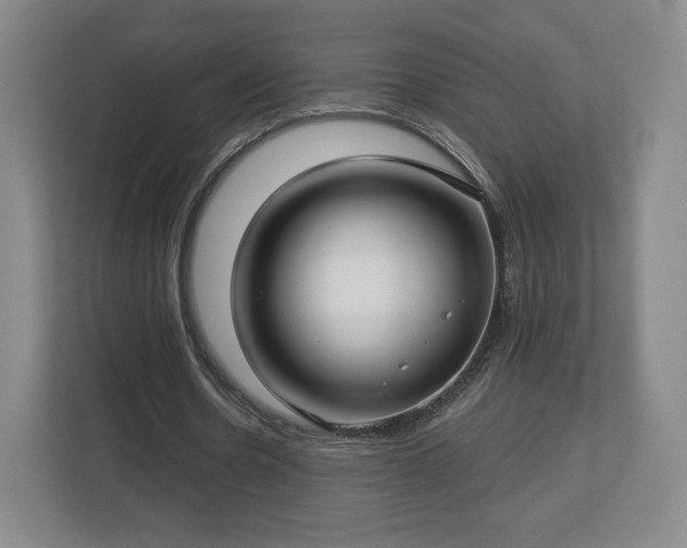 X0000112720530200908271409