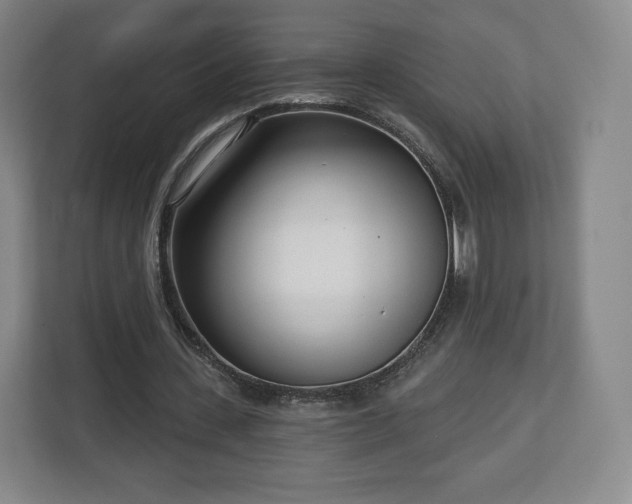 X0000112720531200908271410