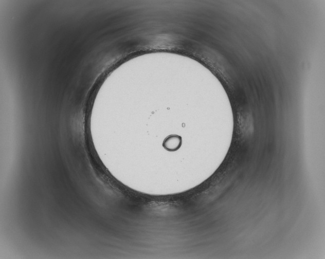 X0000112720534200908271410