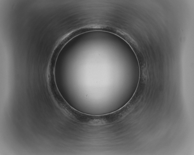 X0000112720536200908271410