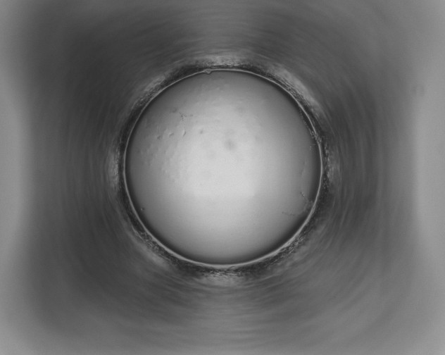 X0000112720537200908271410