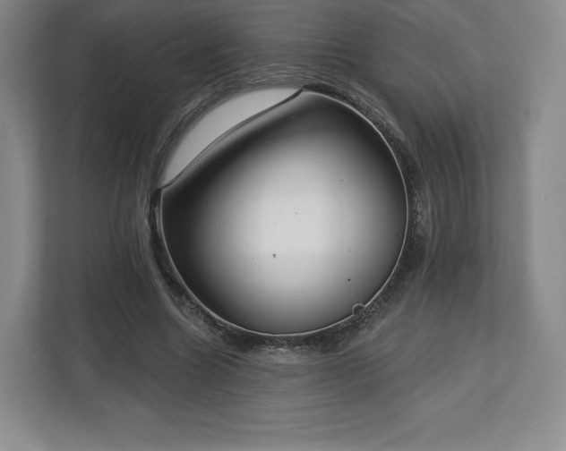 X0000112720538200908271410