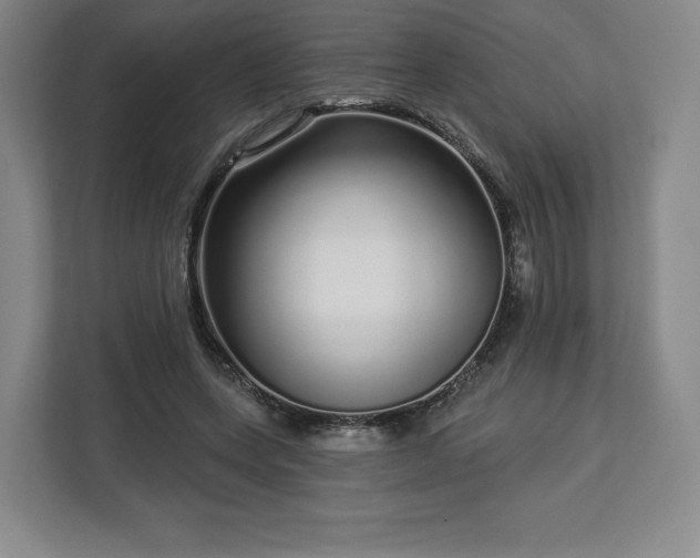 X0000112720543200908271410