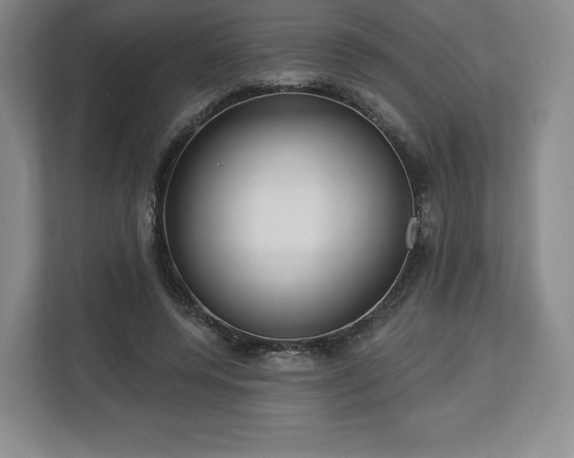 X0000112720544200908271410