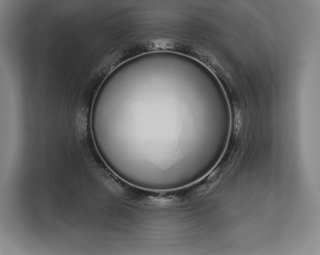 X0000112720545200908271410