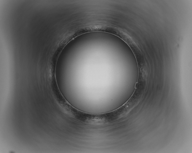 X0000112720546200908271410