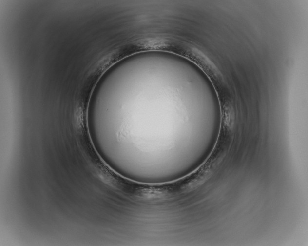 X0000112720549200908271410