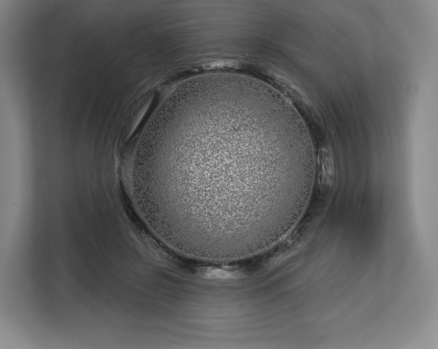 X0000112720550200908271410