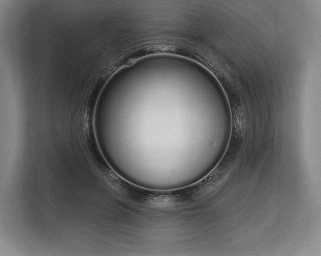 X0000112720551200908271410