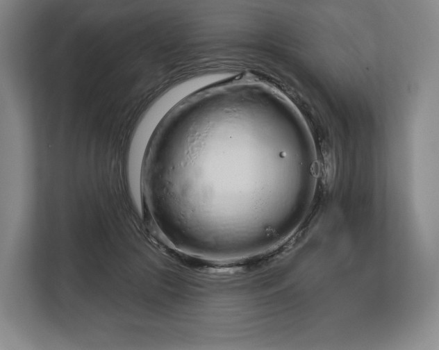 X0000112720553200908271410