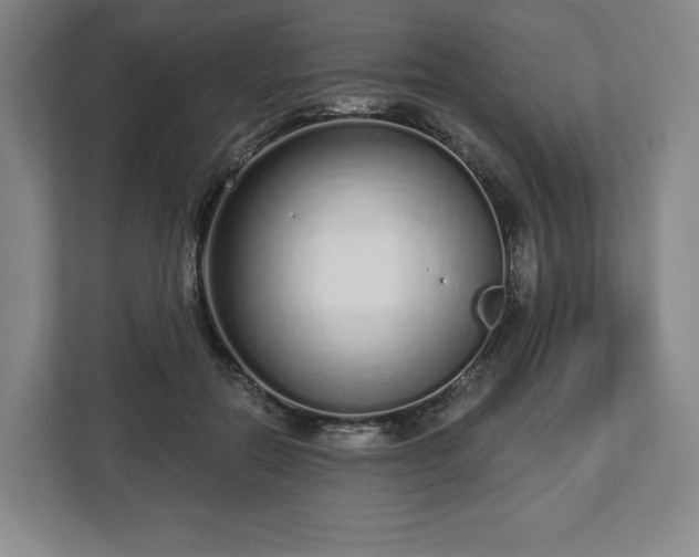 X0000112720554200908271410