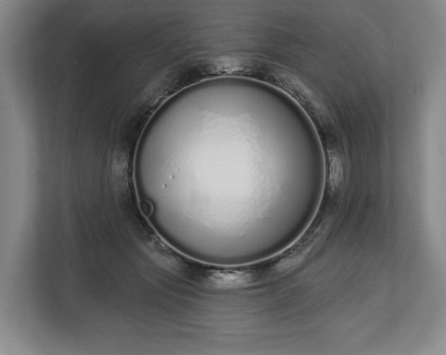 X0000112720557200908271410