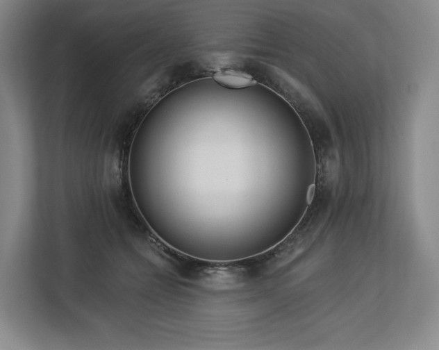 X0000112720558200908271410