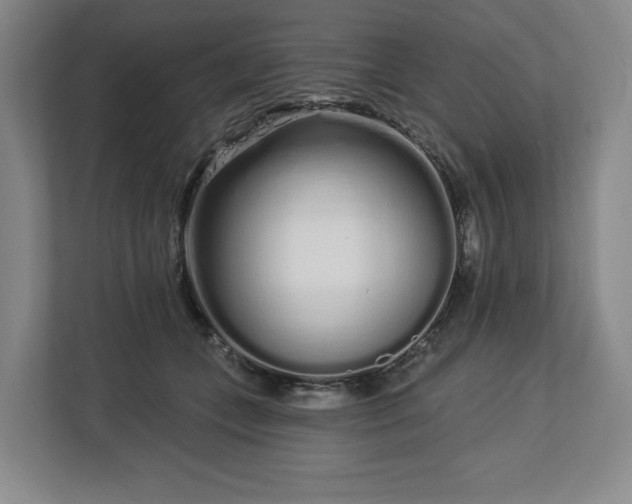 X0000112720559200908271410