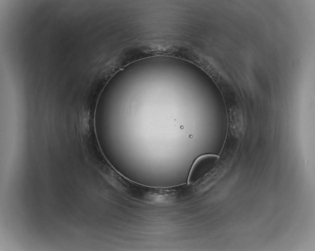 X0000112720563200908271410