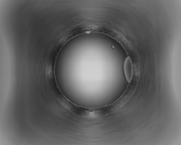 X0000112720564200908271410