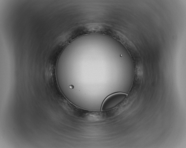 X0000112720567200908271410