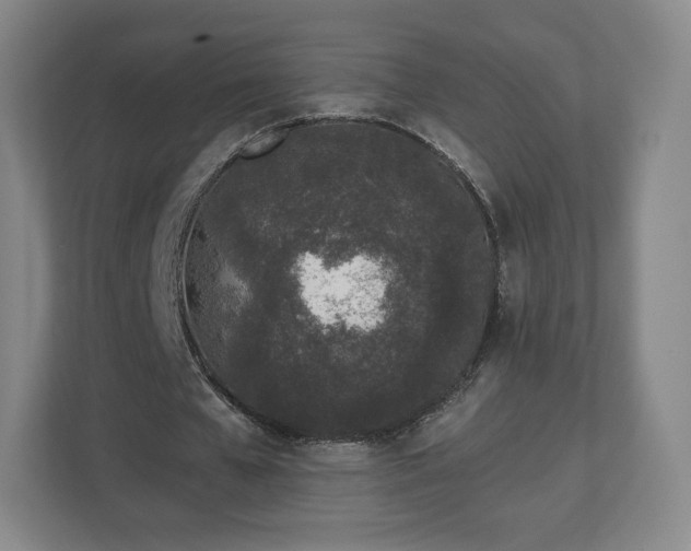 X0000112720577200908271409