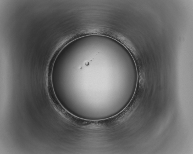 X0000112720578200908271409