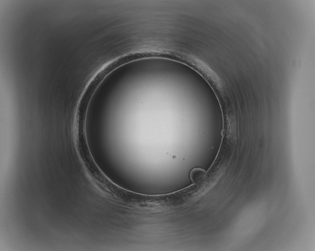 X0000112720580200908271409