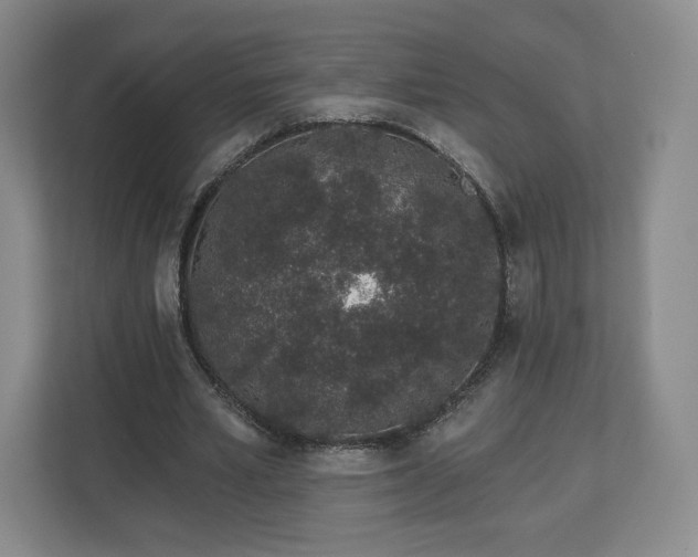 X0000112720581200908271409