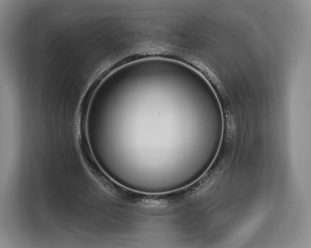 X0000112720582200908271409