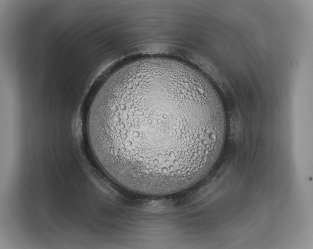 X0000112720584200908271409