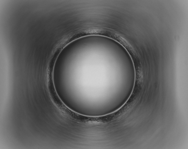 X0000112720586200908271409