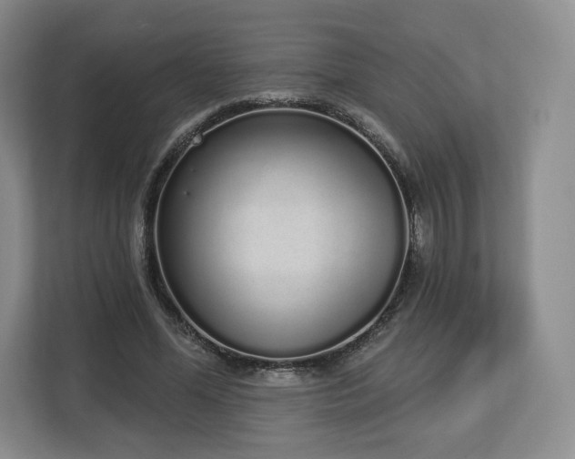 X0000112720588200908271409